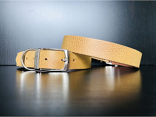Mustard - Leather Dog Collar - Size L